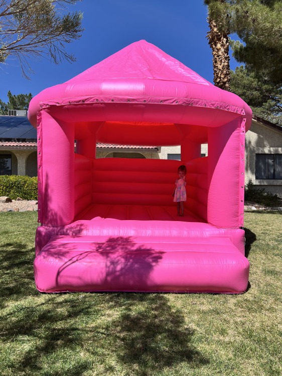 Pretty in Pink Modern Bounce House