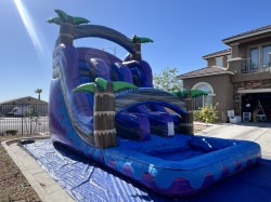 Midnight Tropics Dual Lane Water Slide