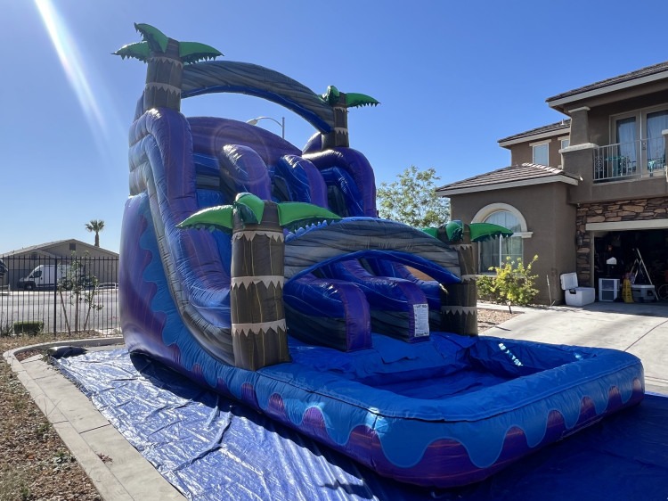 Midnight Tropics Dual Lane Water Slide