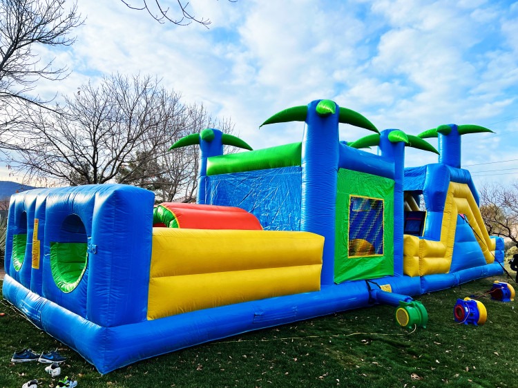 Tropical Paradise Dual Lane Obstacle Course