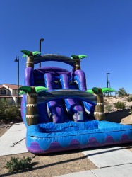 IMG 2490 1751849983 Midnight Tropics Dual Lane Water Slide