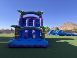 IMG 2874 1751851868 Midnight Tropics Dual Lane Water Slide