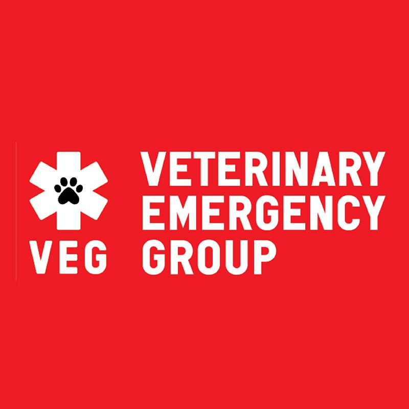 veg_MC