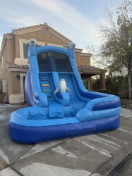 IMG 1562 1764462796 Dolphin Rush Water Slide