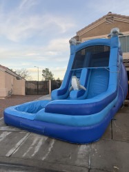 IMG 1563 1764462798 Dolphin Rush Water Slide