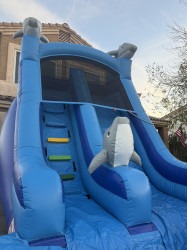 IMG 1564 1764462799 Dolphin Rush Water Slide