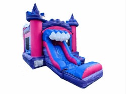 Pink Passion Paradise Bounce House Combo with Slide wet/dry